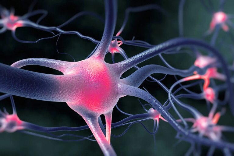 1800x1200 active nerve cells firing other