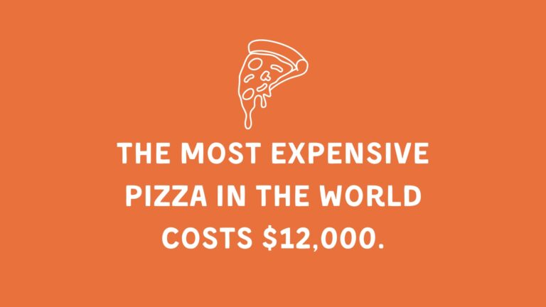 Pizza Facts logo free 1600 x 900 px